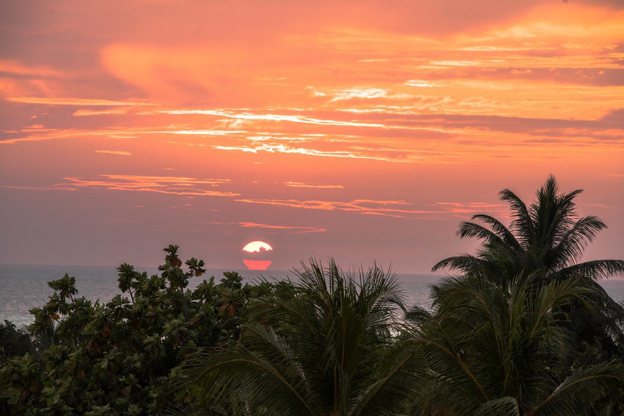 Araamu Maldives At